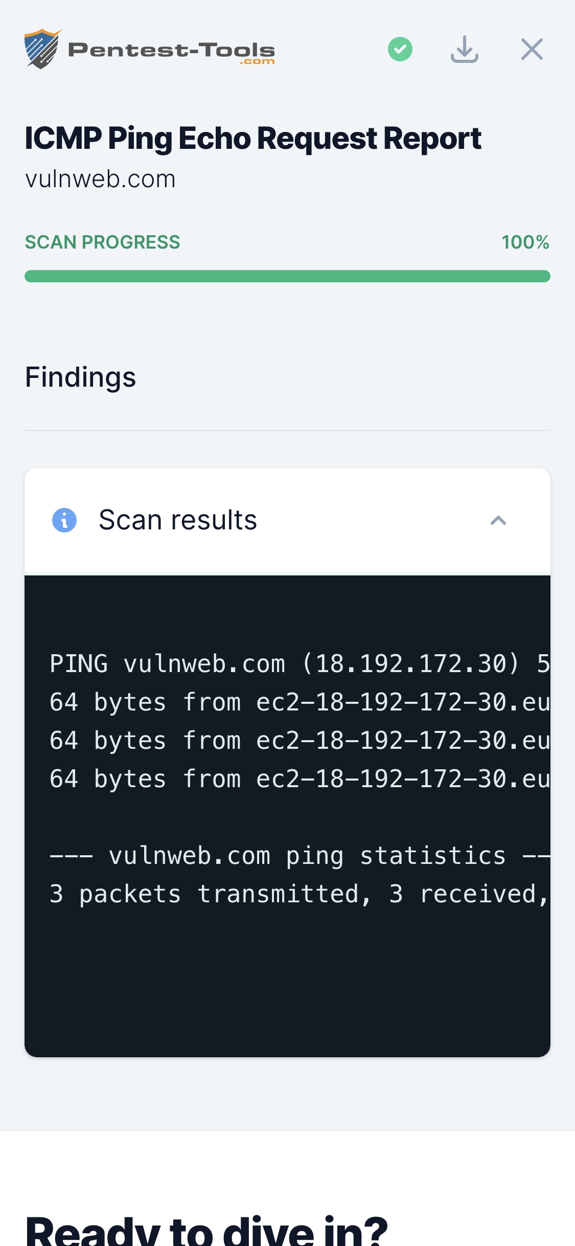 Pentest-Tools.com ICMP Ping Sample Report