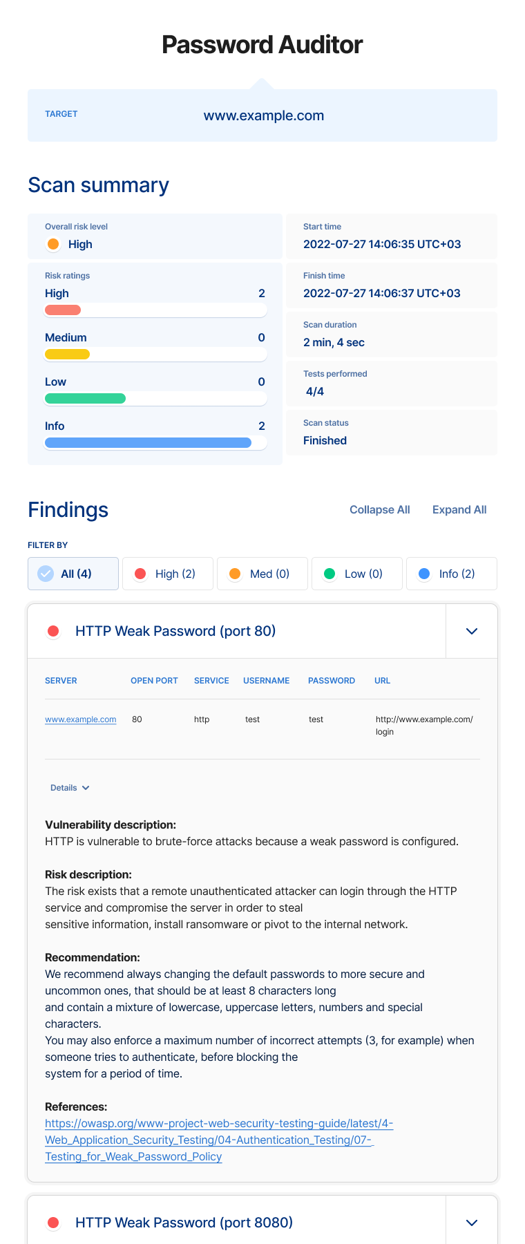 Password Auditor Report Sample