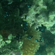 Three-spot Dascyllus (juvenile)